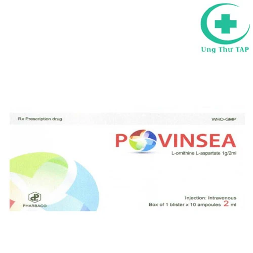 Povinsea 2ml - Thuốc điều trị bệnh gan cấp và mãn tính 