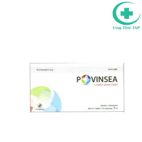 Povinsea 5ml - Thuốc điều trị bệnh gan cấp và mạn tính hiệu quả