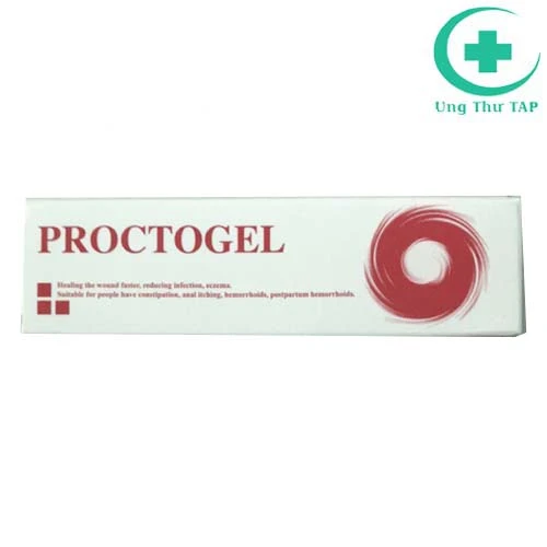 Proctogel - Thuốc được chỉ định dùng trong việc điều trị bệnh trĩ