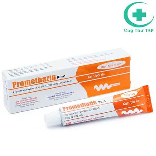 Promethazin 10g - Kem điều trị ngứa, bỏng bề mặt, kích ứng tia X 