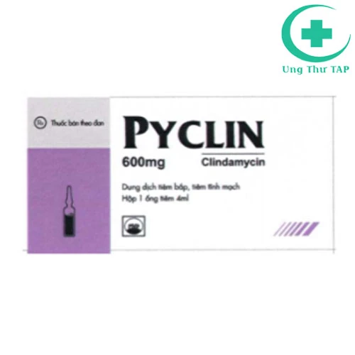 Pyclin 600 - Thuốc điều trị viêm amidan, viêm hầu họng