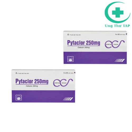 Pyfaclor 250mg - Thuốc điều trị nhiễm khuẩn đường hô hấp