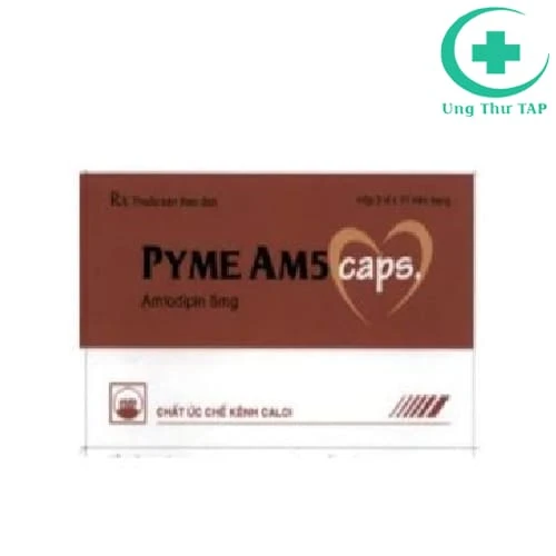 Pyme Am5 caps Pymepharco (viên nang) - Điều trị tăng huyết áp