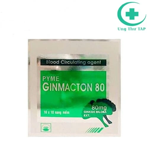 PymeGinmacton 80 Pymepharco - Điều trị rối loạn chức năng não