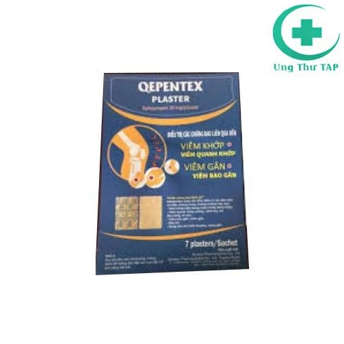 Qepentex Plaster - Giúp giảm đau nhức do đau cơ xương khớp