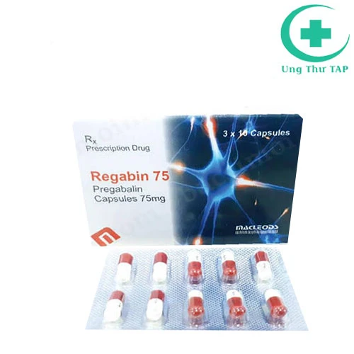 Regabin 75 - Thuốc điều trị điều trị đau thần kinh, động kinh