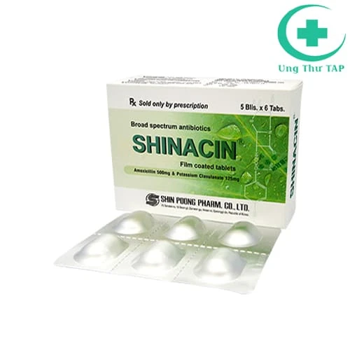 Shinacin - Thuốc điều trị nhiễm khuẩn của Hàn Quốc
