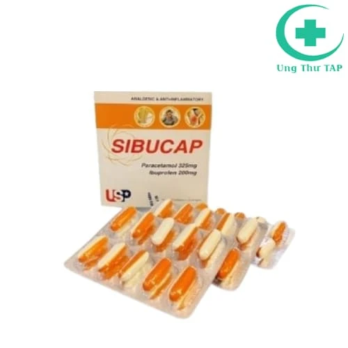 Sibucap US Pharma - Thuốc giảm đau, hạ sốt hiệu quả