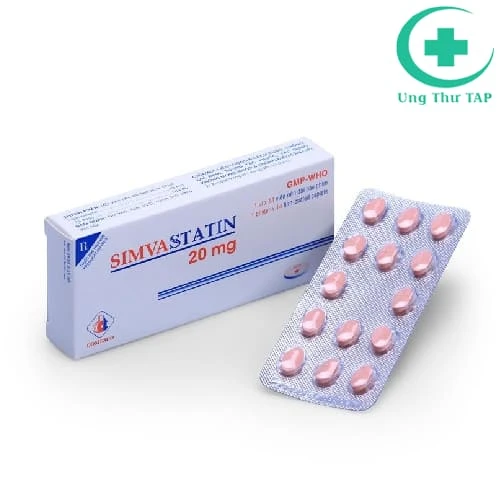 Simvastatin 20mg Domesco - Thuốc điều trị loạn lipid huyết