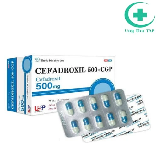 SM.Cefadroxil 500 - Thuốc điều trị nhiễm khuẩn đường tiểu, da