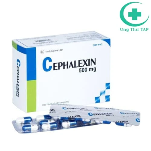 SM.Cephalexin 500 - Thuốc điều trị nhiễm khuẩn chất lượng