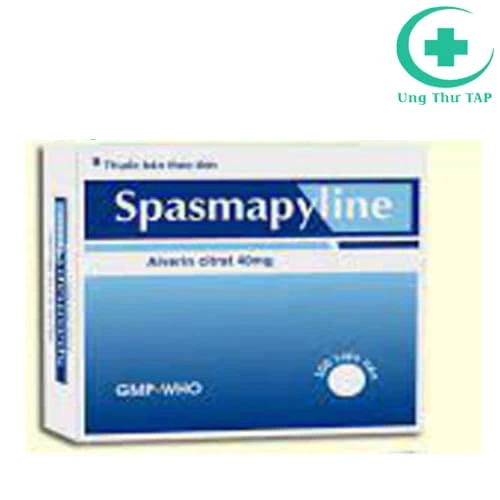 Spasmapyline 40mg Tipharco - Chống đau do co thắt cơ trơn