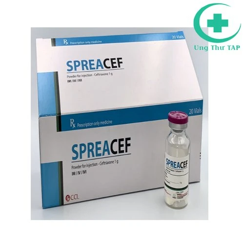 SpreaCef 2g - Thuốc kê đơn điều trị nhiễm khuẩn nặng