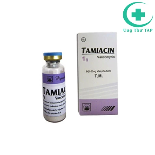 Tamiacin 1g Pymepharco - Thuốc điều trị viêm mủ màng phổi