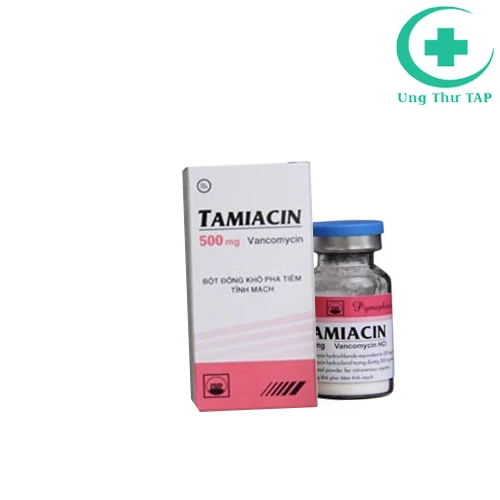 Tamiacin 500 Pymepharco - Thuốc diều trị viêm mủ màng phổi