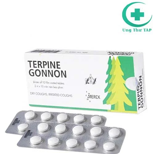 Terpine Gonnon - Thuốc điều trị ho gió, ho khan, ho do nhiễm lạnh