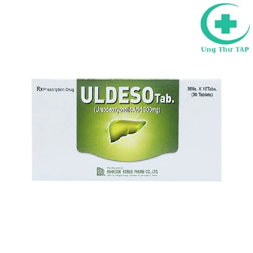 Uldeso Tab  -  Thuốc điều trị bệnh đường mật và túi mật
