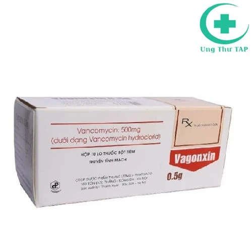 Vancomycin 500mg Pharbaco - Thuốc điều trị nhiễm khuẩn hiệu quả