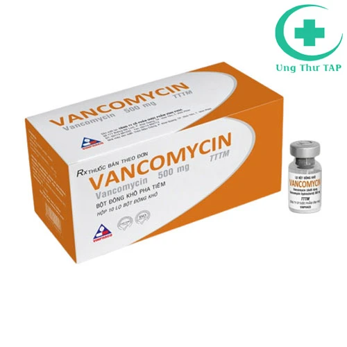 Vancomycin 500mg Vinphaco - Thuốc điều trị nhiễm trùng hiệu quả