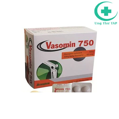 Vasomin 750 - Thuốc điều trị thoái hóa xương khớp hiệu quả
