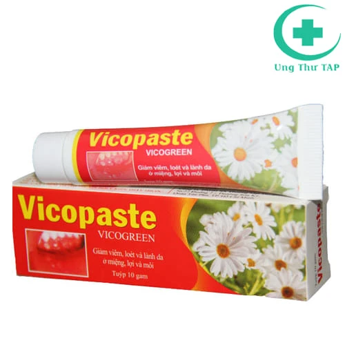 Vicopaste 10g - Gúp phòng và hỗ trợ điều trị nhiệt miệng