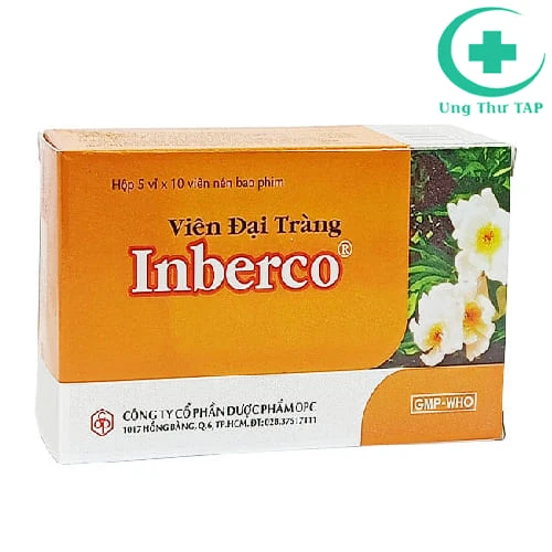 Viên đại tràng Inberco - Điều trị tiêu chảy, viêm đại tràng