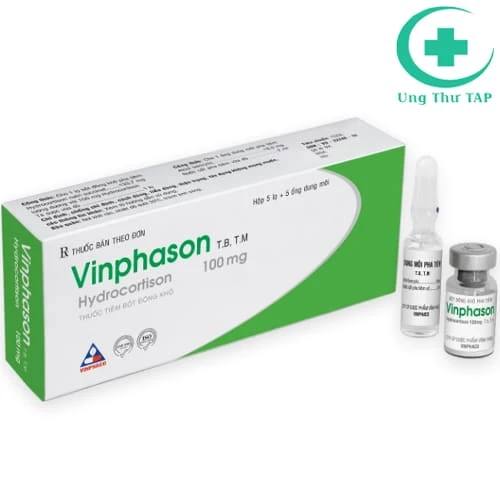 Vinphason 100mg - Điều trị triệu chứng cho người bị bệnh tạo keo
