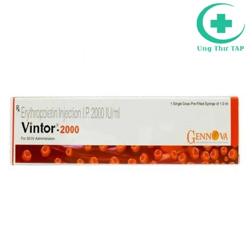 Vintor 2000 Gennova - Thuốc điều trị thiếu máu hiệu qủa