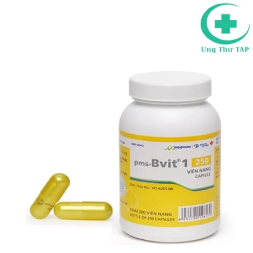 Vitamin B1 250mg Armephaco - Thuốc bổ sung Vitamin B1 cho cơ thể