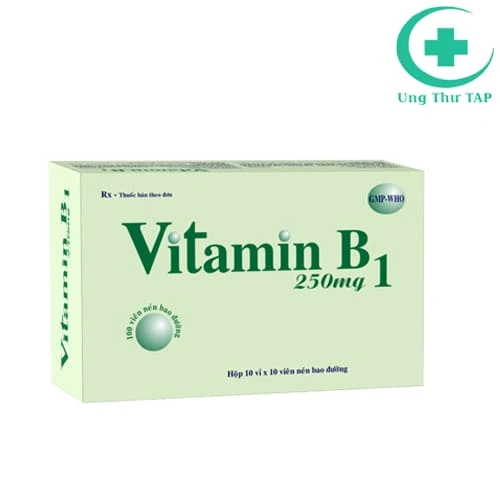 Vitamin B1 250mg Tipharco - Thuốc bổ sung vitamin Bl