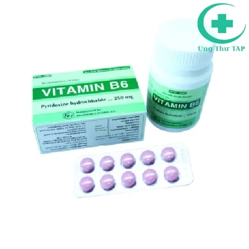 Vitamin B6 250mg Khapharco (viên nang) - Điều trị thiếu máu