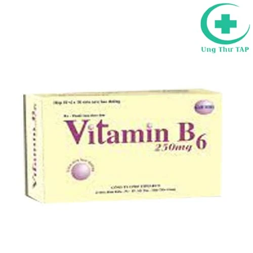 Vitamin B6 250mg Tipharco - Thuốc bổ sung vitamin B6