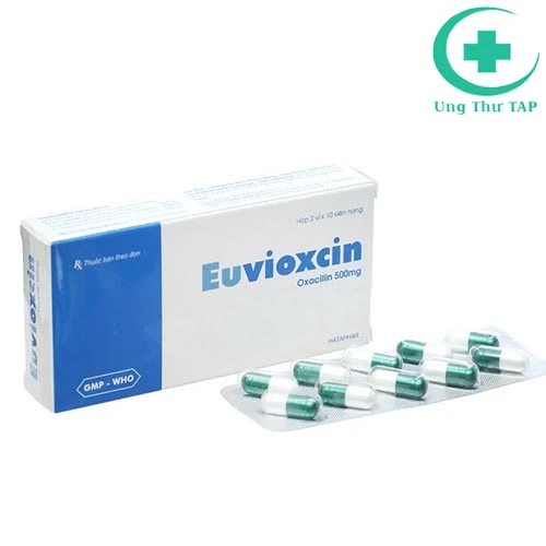 Euvioxcin - Thuốc trị nhiễm khuẩn hệ hô hấp hiệu quả