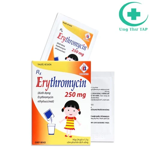 Erythromycin 250mg Domesco - Thuốc điều trị nhiễm khuẩn hệ hô hấp