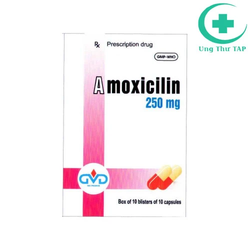 Amoxicilin 250mg MD Pharco - Thuốc điều trị nhiễm khuẩn hiệu quả