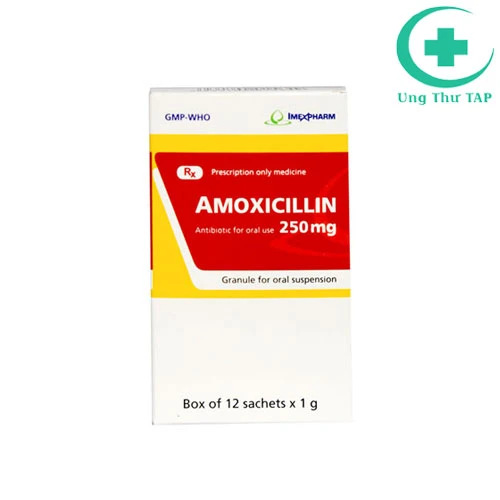 Amoxicillin 250 mg Imexpharm - Thuốc trị nhiễm khuẩn hàng đầu