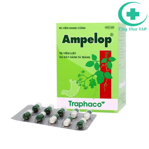 Ampelop - Thuốc điều trị viêm loét dạ dày - tá tràng của Traphaco