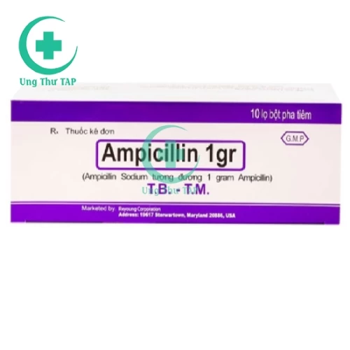 Ampicillin 1gr Mỹ -  Thuốc điêu trị viêm, nhiễm khuẩn hiệu quả