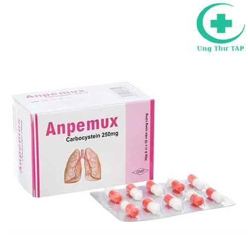 Anpemux - Thuốc điều trị viêm phế quản cấp tính