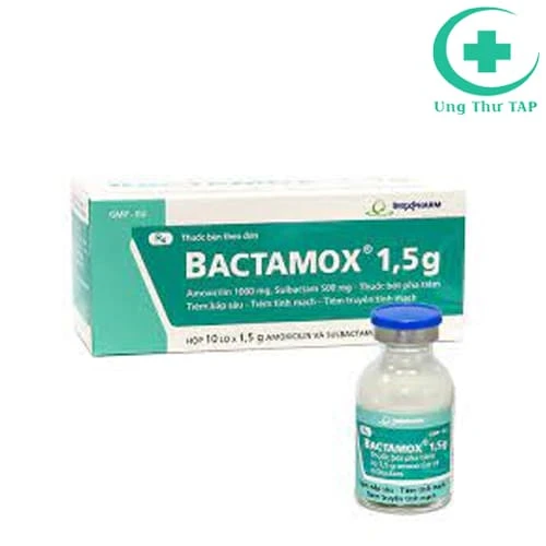 Bactamox 1,5g - Thuốc điều trị nhiễm khuẩn của Imexpharm