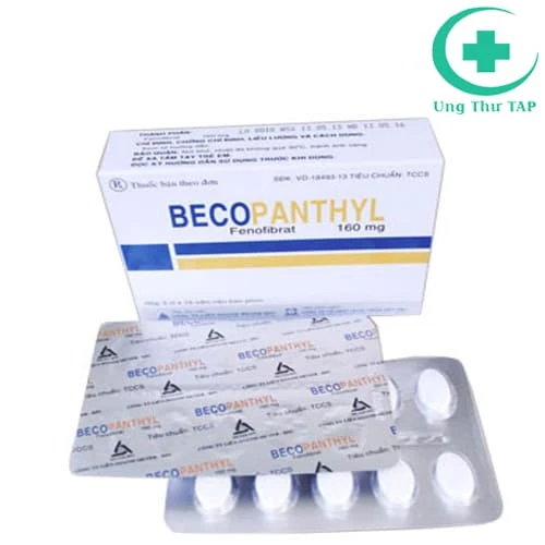 BECOPANTHYL - Thuốc điều trị  tăng cholesterol máu 