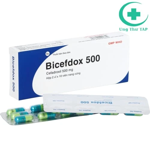 Bicefdox 500 - Thuốc điều trị nhiễm khuẩn của Bidiphar