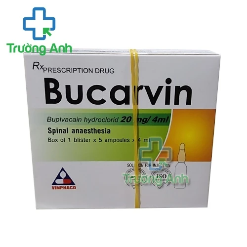 Bucarvin - Thuốc có tác dụng gây tê, giảm đau khi phẫu thuật