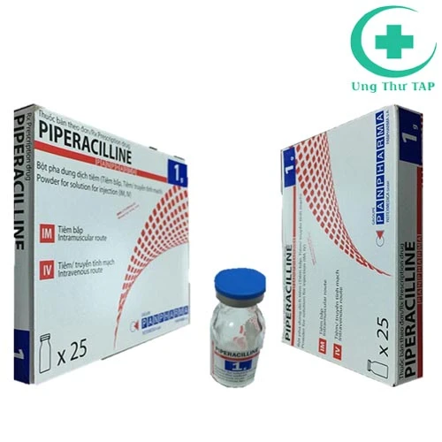 Piperacillin Panpharma 1g - Thuốc kháng sinh nhập khẩu