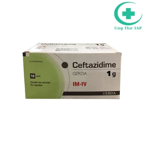 Ceftazidime Gerda 1g - Thuốc điều trị nhiễm khuẩn hiệu quả