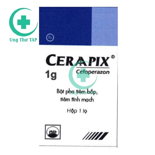 Ceraapix - Thuốc chống viêm túi mật, ống mật một cách hiệu quả