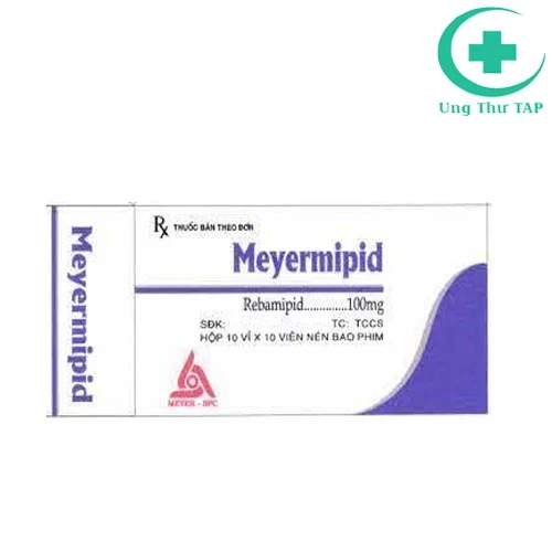MEYERMIPID 100mg - Thuốc cho người viêm loét dạ dày