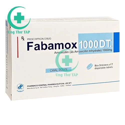 Fabamox 1000 DT - Thuốc điều trị Nhiễm khuẩn đường hô hấp trên