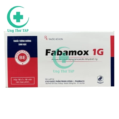 Fabamox 1g - Thuốc điều trị nhiễm khuẩn hiệu quả