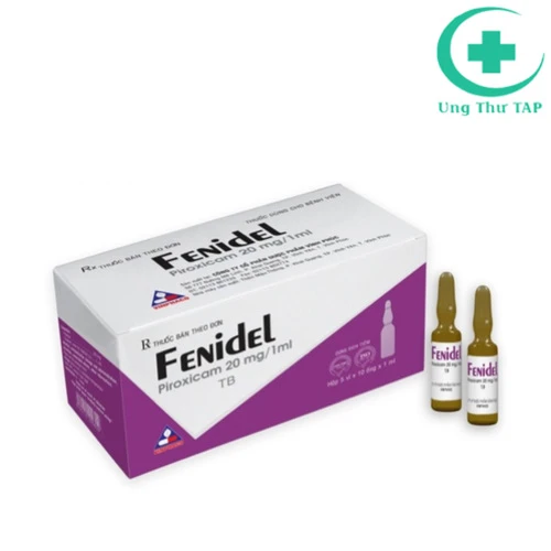 Fenidel 20mg/ 1ml - Thuốc điều trị viêm khớp dạng thấp